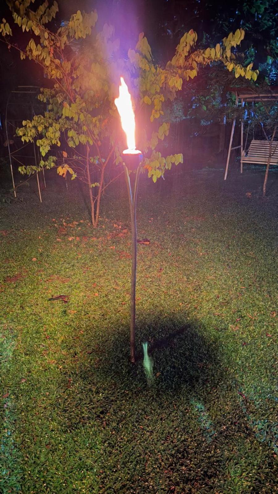 Thought Blooming Hotel Udawalawe Bagian luar foto